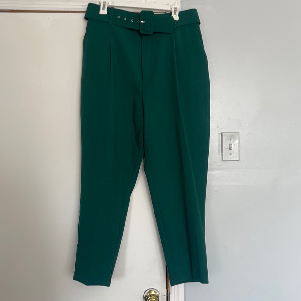Zara belted pants